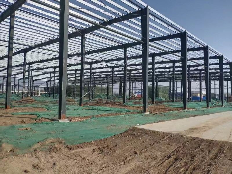 ISO approvato China High Performance Industrial Workshop Edificio 46M Altezza 36M Spazio trasparente