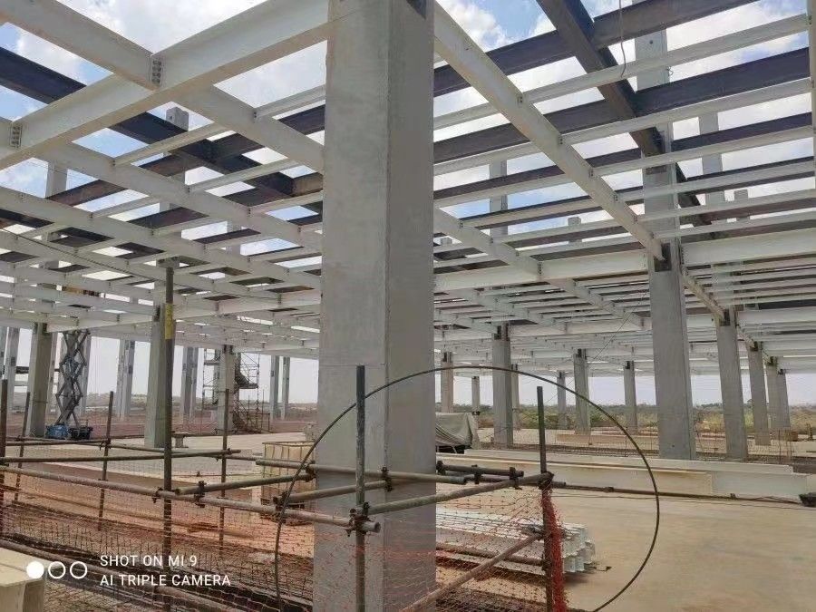 Parco logistico della catena di freddo di larga durata struttura in acciaio prefabbricata